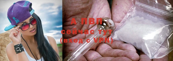 дмт Нея