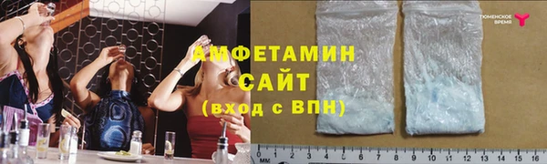 дмт Нея