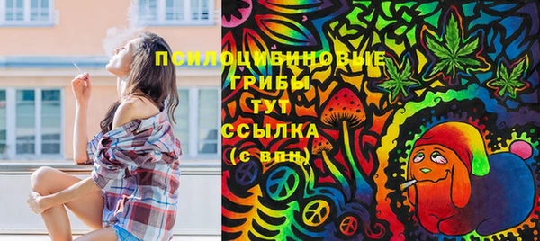 дмт Нея
