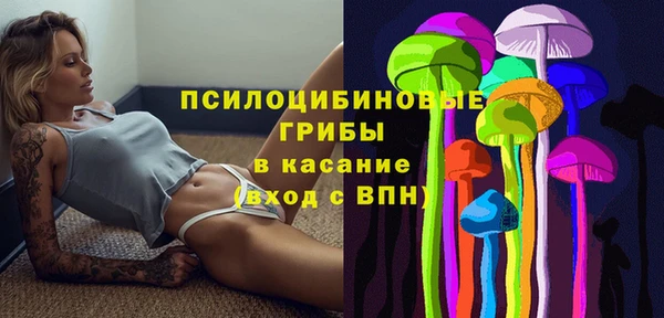 дмт Нея