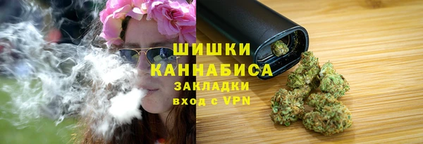 дмт Нея