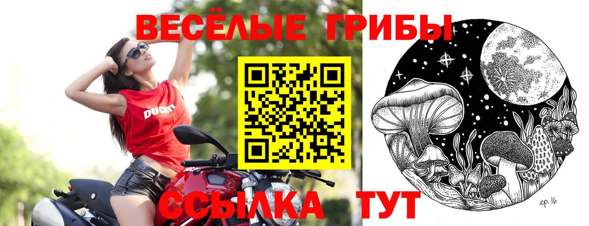 Галлюциногенные грибы GOLDEN TEACHER  Вход с VPN  Прокопьевск 